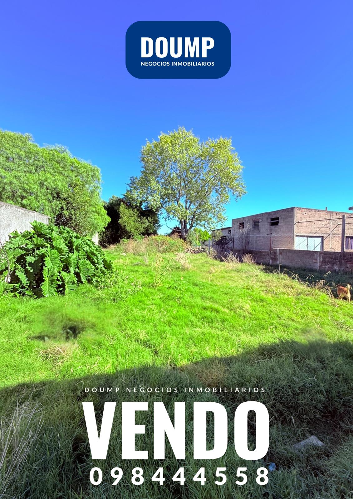 Flor de Maroñas, terreno 574m2