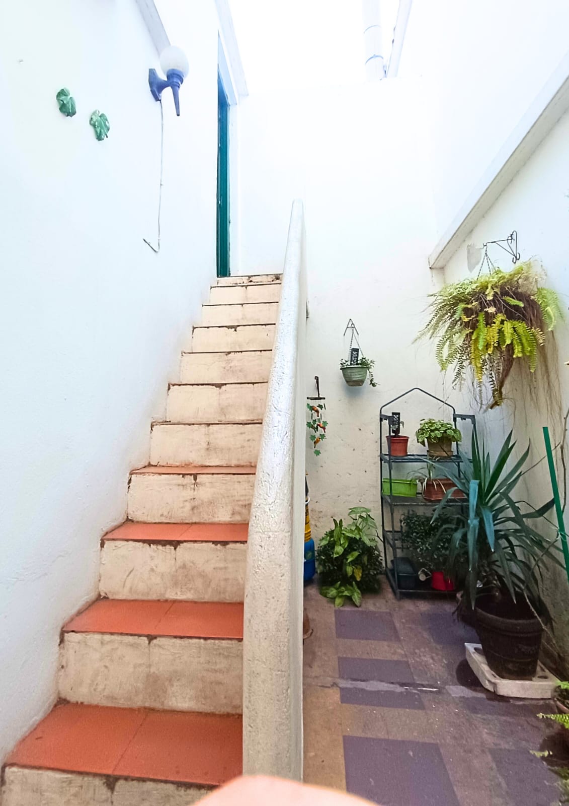 4 dormitorios + 2 baños SIN GASTOS COMUNES - Imagen 18