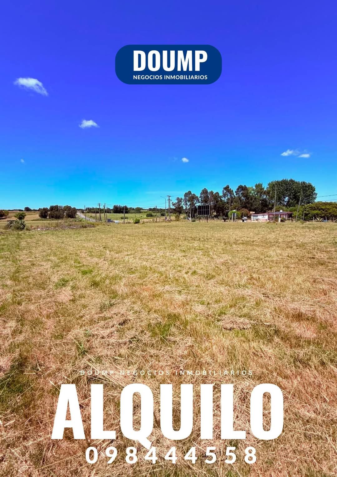 Terreno en alquiler, 4.200m2 sobre ruta 34 casi ruta 8 - Imagen 2