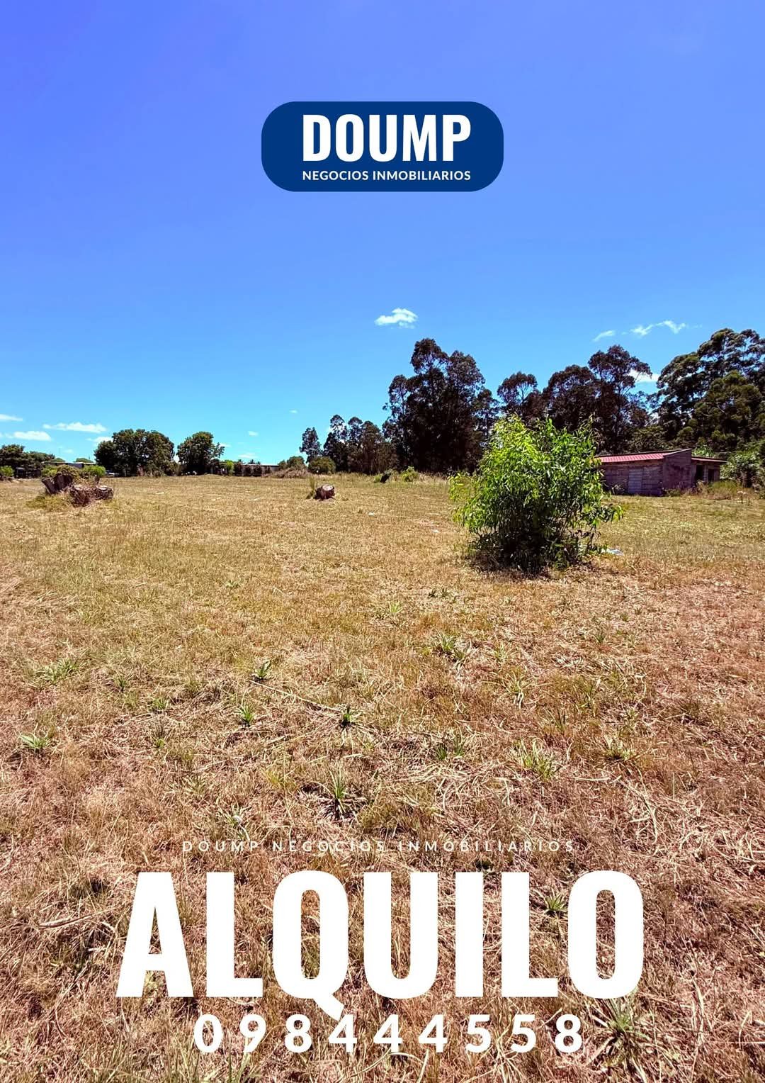 Terreno en alquiler, 4.200m2 sobre ruta 34 casi ruta 8 - Imagen 4