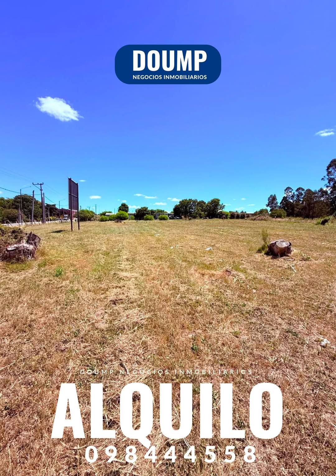 Terreno en alquiler, 4.200m2 sobre ruta 34 casi ruta 8 - Imagen 6